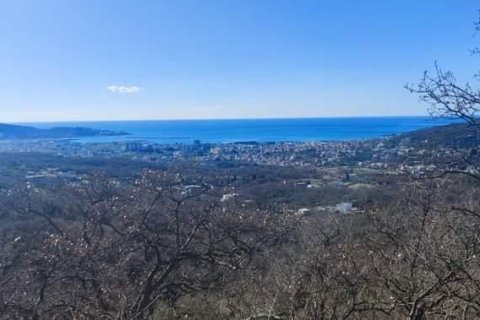 8164m² Land in Bar, Montenegro No. 62391 2