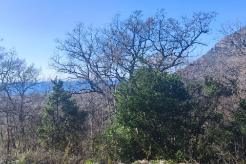 8164m² Land in Bar, Montenegro No. 62391 6