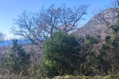 8164m² Land in Bar, Montenegro No. 62391 7