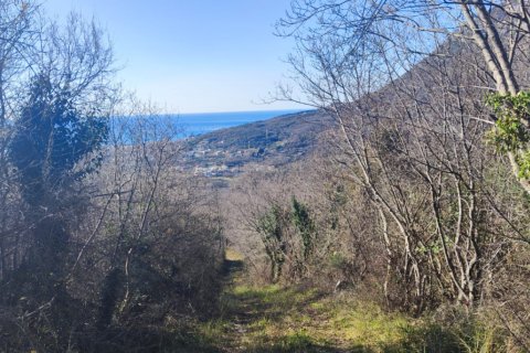 8164m² Land in Bar, Montenegro No. 62391 5