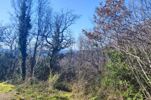 8164m² Land in Bar, Montenegro No. 62391 8