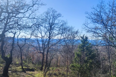 8164m² Land in Bar, Montenegro No. 62391 9