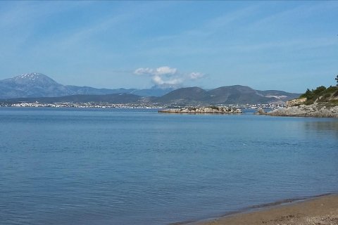 5 bedrooms House in Euboea, Greece No. 58483 4