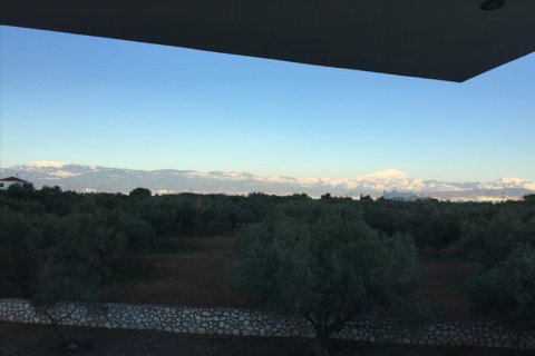 5 bedrooms House in Euboea, Greece No. 58483 5