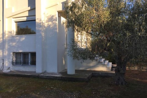 5 bedrooms House in Euboea, Greece No. 58483 2