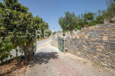 Дом с 3 спальнями в Магнисия, Греция №24292 18