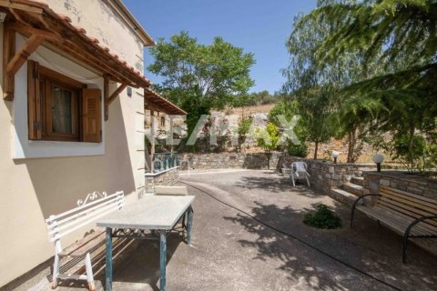 Дом с 3 спальнями в Магнисия, Греция №24292 19