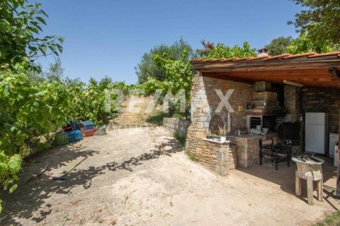 Дом с 3 спальнями в Магнисия, Греция №24292 16