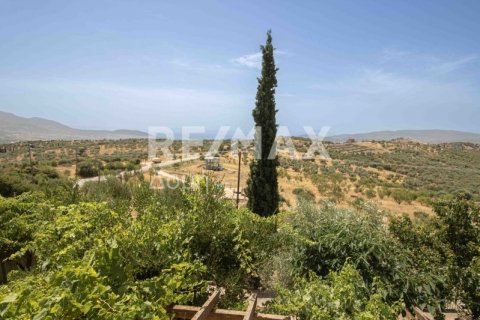 Дом с 3 спальнями в Магнисия, Греция №24292 23