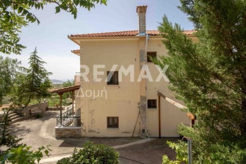 Дом с 3 спальнями в Магнисия, Греция №24292 7