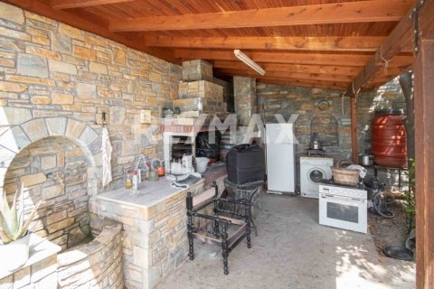 Дом с 3 спальнями в Магнисия, Греция №24292 17