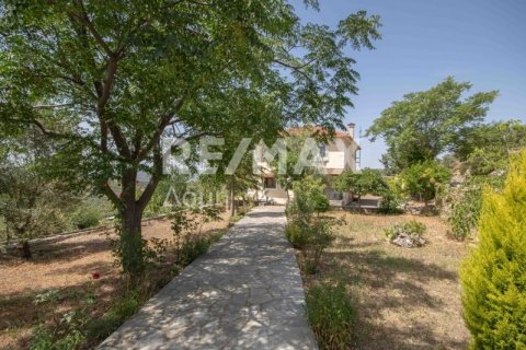 Дом с 3 спальнями в Магнисия, Греция №24292 5