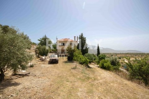 Дом с 3 спальнями в Магнисия, Греция №24292 9