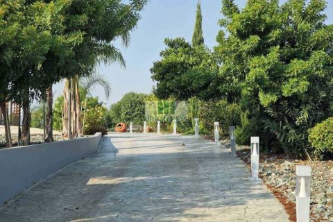 6 bedrooms House in Pano Deftera, Cyprus No. 77969 14