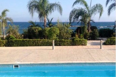 Studio Apartment in Limassol, Cyprus No. 105652 2