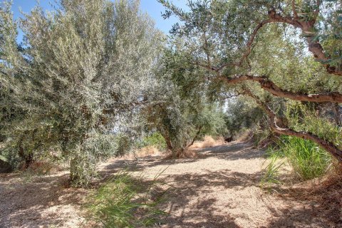 Дом с 6 спальнями в Гази, Греция №108513 27