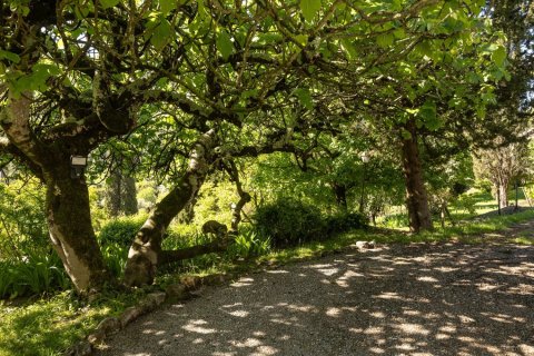 4 dormitorios Villa en Le Bar-sur-Loup, France No. 68733 9