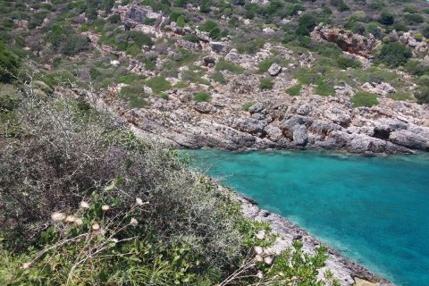 Land in Zakynthos, Greece No. 69534 15