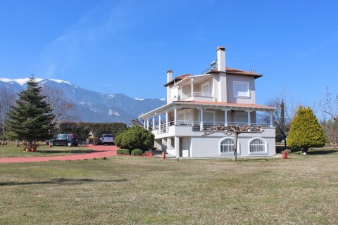 5 bedrooms Villa in Pieria, Greece No. 55655 9