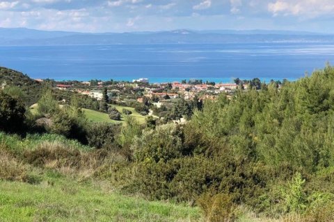 6750m² Land in Chalkidiki, Greece No. 60598 9