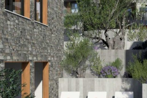 3 bedrooms Villa in Pegeia, Cyprus No. 100329 11