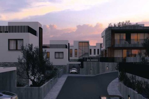 3 bedrooms Villa in Pegeia, Cyprus No. 100329 8