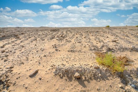 16875m² Land en Al Tebeen, Vietnam No. 5877 9