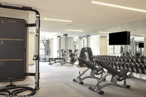 Кондоминиум  с 2 спальнями в Сноумасс Виллидж, США №74708 8