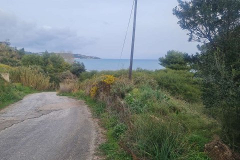Land in Zakynthos, Greece No. 69514 6