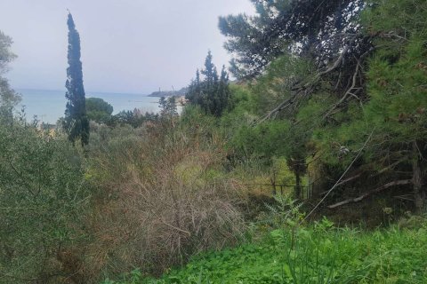 Land in Zakynthos, Greece No. 69514 3