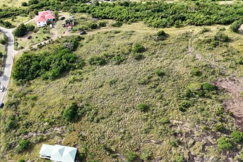 7689m² Land in Piccadilly, Antigua and Barbuda No. 64963 6