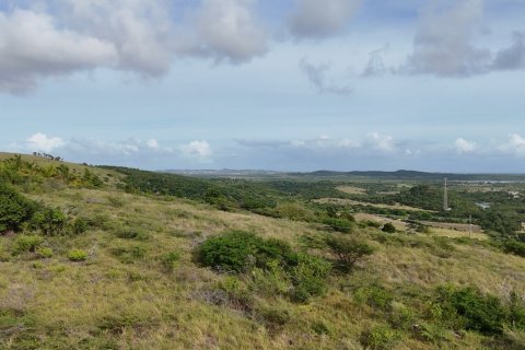 7689m² Land in Piccadilly, Antigua and Barbuda No. 64963 5