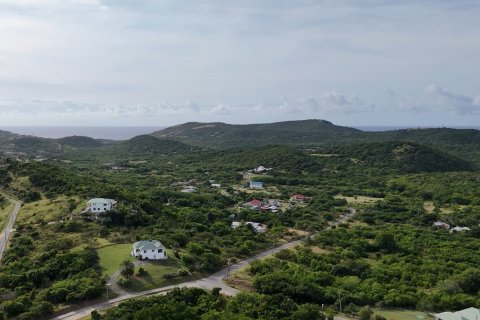 7689m² Land in Piccadilly, Antigua and Barbuda No. 64963 12