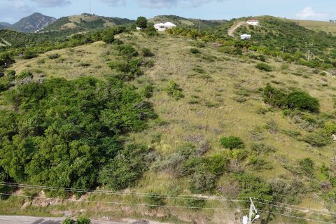7689m² Land in Piccadilly, Antigua and Barbuda No. 64963 8