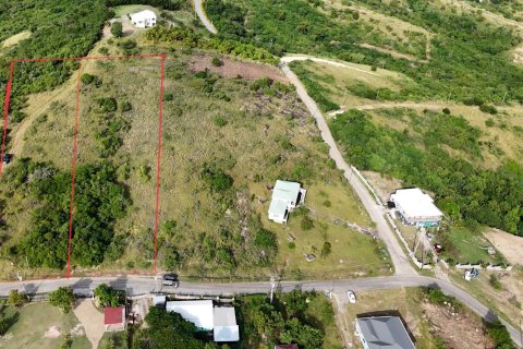 7689m² Land in Piccadilly, Antigua and Barbuda No. 64963 7