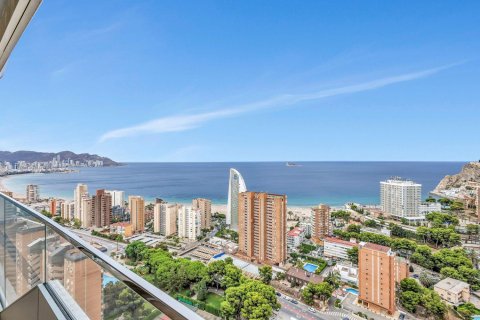 Studio Apartment in Benidorm, Spain No. 128836