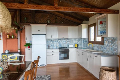 Дом с 3 спальнями в Эвбея, Греция №113010 27