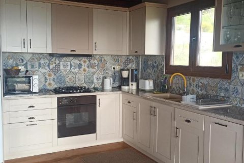 Дом с 3 спальнями в Эвбея, Греция №113010 28