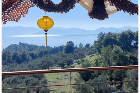 Дом с 3 спальнями в Эвбея, Греция №113010 22