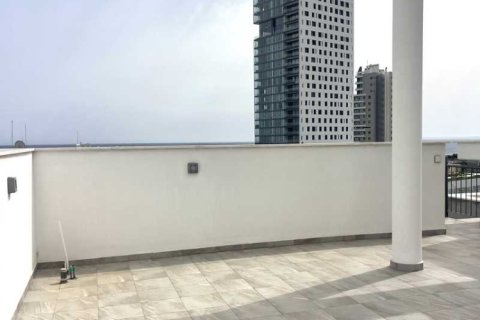 4 bedrooms Penthouse in Mouttagiaka, Cyprus No. 102014 4