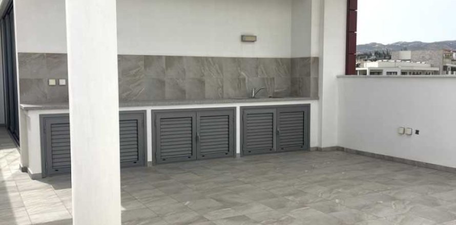 4 bedrooms Penthouse in Mouttagiaka, Cyprus No. 102014