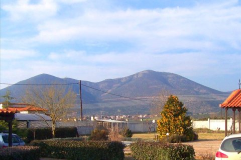 9 bedrooms Villa in Chalkidiki, Greece No. 49109 14