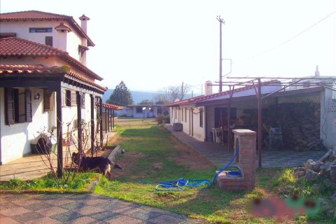 9 bedrooms Villa in Chalkidiki, Greece No. 49109 10