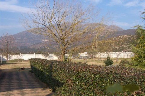 9 bedrooms Villa in Chalkidiki, Greece No. 49109 12