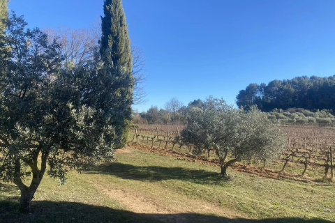 235m² House in Tourtour, France No. 68917 1