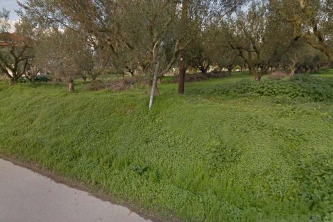 Land à Zakynthos, Greece No. 24599 4