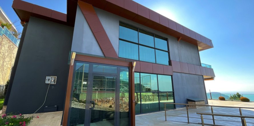 4 bedrooms Villa in Chau Lang, Vietnam No. 113947