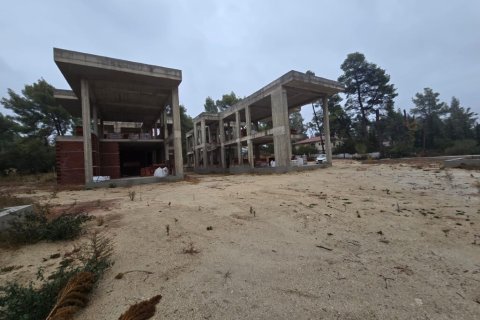 500m² House in Chalkidiki, Greece No. 108573 3