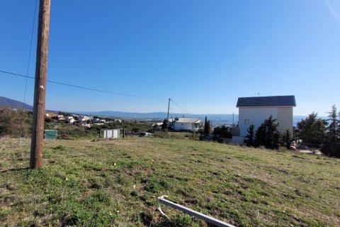 3000m² Land in Panorama, Greece No. 108310 2