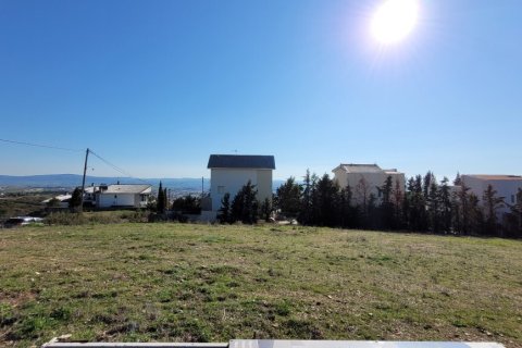 3000m² Land in Panorama, Greece No. 108310 3
